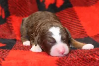 processed/885bd1a8-f8bc-4dc2-983e-8845bc5a3027/listing/6a95d416-6f7b-413e-833a-7322b8e2ea3c/8c62c084-14b5-4b60-ba98-45dbe39b2c86