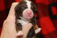 processed/885bd1a8-f8bc-4dc2-983e-8845bc5a3027/listing/6a95d416-6f7b-413e-833a-7322b8e2ea3c/c98e6e0d-eabe-4009-95f5-9cbf0e93031e