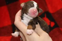 processed/885bd1a8-f8bc-4dc2-983e-8845bc5a3027/listing/6a95d416-6f7b-413e-833a-7322b8e2ea3c/d2c8fe32-93b7-41ef-aa5f-3a21066c03e3