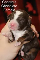 processed/885bd1a8-f8bc-4dc2-983e-8845bc5a3027/listing/6a95d416-6f7b-413e-833a-7322b8e2ea3c/e7335037-24df-41e0-b1a4-80cbe03bd5d1