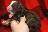 processed/885bd1a8-f8bc-4dc2-983e-8845bc5a3027/listing/6a95d416-6f7b-413e-833a-7322b8e2ea3c/f9adc926-f6f6-4006-a930-4e8e214a9b84