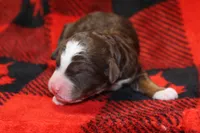 processed/885bd1a8-f8bc-4dc2-983e-8845bc5a3027/listing/6a95d416-6f7b-413e-833a-7322b8e2ea3c/fc426eda-0a93-4b47-9e8a-224bc74f8b9b