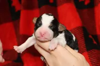 processed/885bd1a8-f8bc-4dc2-983e-8845bc5a3027/listing/991987e8-fd7b-4bec-92c2-62f415f5d9f6/4db0bba8-d56f-48f3-ba97-7ea2774cb7d7