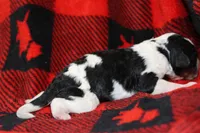 processed/885bd1a8-f8bc-4dc2-983e-8845bc5a3027/listing/991987e8-fd7b-4bec-92c2-62f415f5d9f6/dc4b2909-462f-49ab-8168-b0fe8edd7d2f