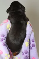 processed/885bd1a8-f8bc-4dc2-983e-8845bc5a3027/listing/ca566530-61fa-409f-a9c4-fb65aef81ba2/24198dd6-f24b-4c45-85c3-30cb19303eac