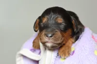 processed/885bd1a8-f8bc-4dc2-983e-8845bc5a3027/listing/ca566530-61fa-409f-a9c4-fb65aef81ba2/7372b141-0a79-4a02-a9b0-d1020a069f31