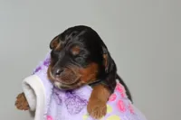 processed/885bd1a8-f8bc-4dc2-983e-8845bc5a3027/listing/ca566530-61fa-409f-a9c4-fb65aef81ba2/7f04f24f-aa8b-4730-89c1-fe6297943a62