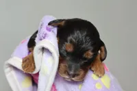 processed/885bd1a8-f8bc-4dc2-983e-8845bc5a3027/listing/ca566530-61fa-409f-a9c4-fb65aef81ba2/b7196398-629b-4913-9898-64bc409c5a09