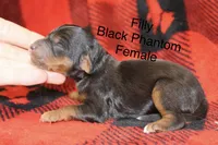 processed/885bd1a8-f8bc-4dc2-983e-8845bc5a3027/listing/ca566530-61fa-409f-a9c4-fb65aef81ba2/cfcb3c07-c7b0-4ecc-8247-62d87ceeb5cc