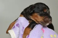 processed/885bd1a8-f8bc-4dc2-983e-8845bc5a3027/listing/ca566530-61fa-409f-a9c4-fb65aef81ba2/f43833d4-5e48-4abb-b91e-acbba87c6cce