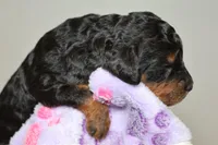 processed/885bd1a8-f8bc-4dc2-983e-8845bc5a3027/listing/cae40c87-c492-4afe-a0fb-556f7db4a11b/3e61e373-2429-4cb2-9dc8-48129e109910