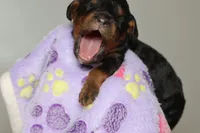 processed/885bd1a8-f8bc-4dc2-983e-8845bc5a3027/listing/cae40c87-c492-4afe-a0fb-556f7db4a11b/4393612a-a38c-49b4-82a6-75081d12bff0