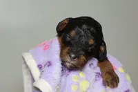 processed/885bd1a8-f8bc-4dc2-983e-8845bc5a3027/listing/cae40c87-c492-4afe-a0fb-556f7db4a11b/46ad5a15-7e6d-4871-b198-dcf674e32276