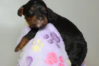 processed/885bd1a8-f8bc-4dc2-983e-8845bc5a3027/listing/cae40c87-c492-4afe-a0fb-556f7db4a11b/93c434d8-c820-4417-9785-1fdeec90fe04