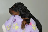 processed/885bd1a8-f8bc-4dc2-983e-8845bc5a3027/listing/cae40c87-c492-4afe-a0fb-556f7db4a11b/a0c7d9b1-cea8-4256-b762-d7671e35aa78