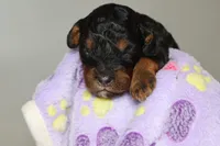 processed/885bd1a8-f8bc-4dc2-983e-8845bc5a3027/listing/cae40c87-c492-4afe-a0fb-556f7db4a11b/c1bc8afd-a06d-45bd-857d-f4f56cbb4870