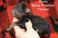 processed/885bd1a8-f8bc-4dc2-983e-8845bc5a3027/listing/cae40c87-c492-4afe-a0fb-556f7db4a11b/e8e2162b-c390-4cd4-abfd-2d916c73c926