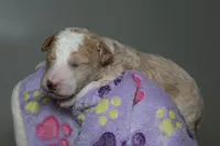 processed/885bd1a8-f8bc-4dc2-983e-8845bc5a3027/listing/d1e98cc0-1a0e-411a-8d42-7e829743c6bc/1134b440-6049-4f5d-860d-f63432907409