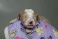 processed/885bd1a8-f8bc-4dc2-983e-8845bc5a3027/listing/d1e98cc0-1a0e-411a-8d42-7e829743c6bc/4b4d5541-6bf7-45ce-bbd8-e07fd9c8ff96