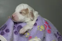 processed/885bd1a8-f8bc-4dc2-983e-8845bc5a3027/listing/d1e98cc0-1a0e-411a-8d42-7e829743c6bc/56e932d0-1330-44ba-819b-17c2501591e7