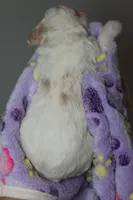 processed/885bd1a8-f8bc-4dc2-983e-8845bc5a3027/listing/d1e98cc0-1a0e-411a-8d42-7e829743c6bc/eef02822-016a-4036-a206-3bf98ae37715