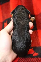 processed/885bd1a8-f8bc-4dc2-983e-8845bc5a3027/listing/d302f10c-0851-4edc-bc71-63bf52b2e911/0fdf3811-90b2-4132-ab33-c2c6467b3ad5