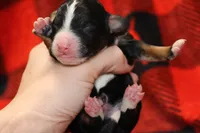 processed/885bd1a8-f8bc-4dc2-983e-8845bc5a3027/listing/d302f10c-0851-4edc-bc71-63bf52b2e911/f328cc38-6936-437c-9b4b-2c1977a5ef25