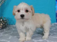 processed/885ea819-0c65-469d-bf94-ae1ff04d7c4e/listing/0792e6cc-d5ed-4800-aead-1034631ca794/69786d81-0ac0-466c-ae67-c1bc58c50daf