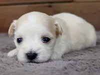 processed/885ea819-0c65-469d-bf94-ae1ff04d7c4e/listing/0792e6cc-d5ed-4800-aead-1034631ca794/ff75eb92-9c4e-400c-a752-6b31ae478220