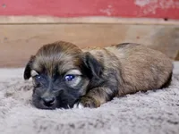 processed/885ea819-0c65-469d-bf94-ae1ff04d7c4e/listing/07fc7c04-300b-4a79-9c81-1015292ba6a1/5b03645e-55ed-4ced-8f99-65325609a228