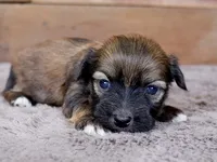 processed/885ea819-0c65-469d-bf94-ae1ff04d7c4e/listing/07fc7c04-300b-4a79-9c81-1015292ba6a1/dc629aee-4bac-466d-ab2a-413034d6fa41