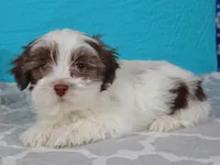 processed/885ea819-0c65-469d-bf94-ae1ff04d7c4e/listing/302cd2be-33fd-4f39-a03b-1aa852c56c72/55c0f6ae-ee97-4bed-84ce-21f738e12c3c