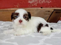 processed/885ea819-0c65-469d-bf94-ae1ff04d7c4e/listing/302cd2be-33fd-4f39-a03b-1aa852c56c72/bc0bab74-de76-4266-b9b4-d18dbb8a0dcc