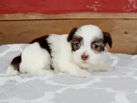 processed/885ea819-0c65-469d-bf94-ae1ff04d7c4e/listing/302cd2be-33fd-4f39-a03b-1aa852c56c72/dc3013e0-e3f4-472e-a26a-d0712e31700b