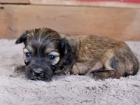 processed/885ea819-0c65-469d-bf94-ae1ff04d7c4e/listing/481cecb5-865f-4ca9-8115-52a23950d38e/0a17dd7f-3d42-42a7-b464-8b83d5690dc3