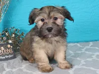 processed/885ea819-0c65-469d-bf94-ae1ff04d7c4e/listing/481cecb5-865f-4ca9-8115-52a23950d38e/e654c817-3639-4cd1-8d07-f176af31cd18