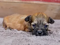 processed/885ea819-0c65-469d-bf94-ae1ff04d7c4e/listing/69eb7a93-4511-4eec-96dd-be5b11986de2/11936169-f5d6-4b58-86b8-34f39e15690c