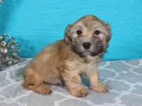 processed/885ea819-0c65-469d-bf94-ae1ff04d7c4e/listing/69eb7a93-4511-4eec-96dd-be5b11986de2/133a2668-9ff8-4cd0-bf1c-01dd20891a39