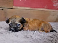 processed/885ea819-0c65-469d-bf94-ae1ff04d7c4e/listing/69eb7a93-4511-4eec-96dd-be5b11986de2/5fa3ff4d-6aea-43e9-835d-5111e3f444e0