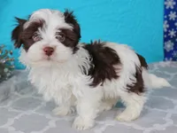 processed/885ea819-0c65-469d-bf94-ae1ff04d7c4e/listing/a30a2378-87ce-434f-a322-295cbd7535c0/340b24ec-6d76-4aa2-8ced-53201e103cfd