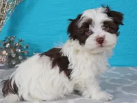 processed/885ea819-0c65-469d-bf94-ae1ff04d7c4e/listing/a30a2378-87ce-434f-a322-295cbd7535c0/76a1a014-7b96-4717-903c-fbb36cbf003e