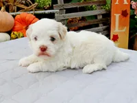 processed/885ea819-0c65-469d-bf94-ae1ff04d7c4e/listing/a714abfd-e97a-41f6-b0e7-a1e1bae9ccfe/1949e22d-8bdc-41ac-a7d4-be8c2ae5014a