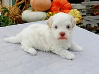 processed/885ea819-0c65-469d-bf94-ae1ff04d7c4e/listing/a714abfd-e97a-41f6-b0e7-a1e1bae9ccfe/252451c3-68b6-41a0-b8ff-aac405edf357