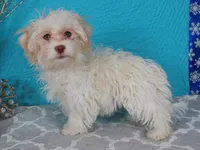 processed/885ea819-0c65-469d-bf94-ae1ff04d7c4e/listing/a714abfd-e97a-41f6-b0e7-a1e1bae9ccfe/70425648-7cc0-4aeb-a8a7-69c07fa545f3