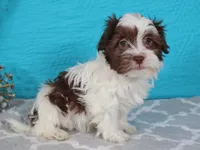 processed/885ea819-0c65-469d-bf94-ae1ff04d7c4e/listing/cda905d1-eee4-442f-9cce-ac0ec2e49ff8/919b151b-cf5e-429a-9ad1-656f4dfdb2ef