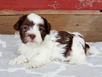 processed/885ea819-0c65-469d-bf94-ae1ff04d7c4e/listing/cda905d1-eee4-442f-9cce-ac0ec2e49ff8/f076f2eb-0ed5-4b5c-8441-9b113c8a9f57