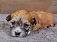 processed/885ea819-0c65-469d-bf94-ae1ff04d7c4e/listing/d4259d7d-9775-437f-bed5-e9e926b1ea20/0ae02105-3817-4472-a01a-59c901c36eee