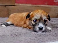 processed/885ea819-0c65-469d-bf94-ae1ff04d7c4e/listing/d4259d7d-9775-437f-bed5-e9e926b1ea20/8b9380a7-7e52-40fd-ae25-c8f0f0be6e71