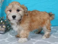 processed/885ea819-0c65-469d-bf94-ae1ff04d7c4e/listing/d4259d7d-9775-437f-bed5-e9e926b1ea20/cbe12c66-aeef-40df-91e7-86727cc60fee