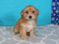 processed/885ea819-0c65-469d-bf94-ae1ff04d7c4e/listing/e17ede86-8088-4782-a8ec-15255e8de5be/1c994ab7-efea-4977-bc11-e62242327f2b